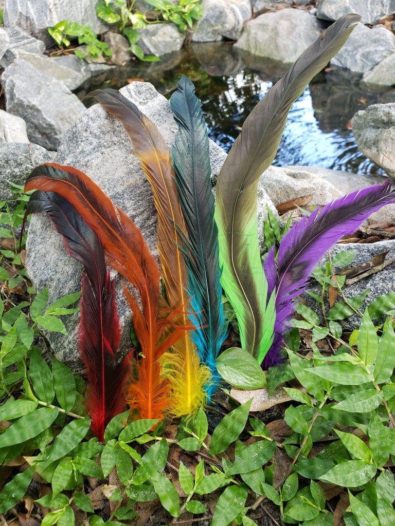 Color Splashed Pirate Rooster Feathers – Jackdaw's Landing LLC